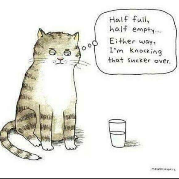 Just for laughs and giggles - Picture 13 of 15